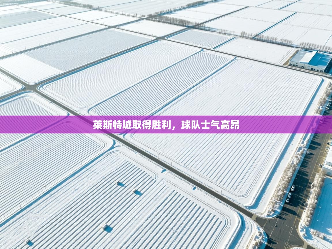 云开体育官方app下载-莱斯特城取得胜利,球队士气高昂  第4张