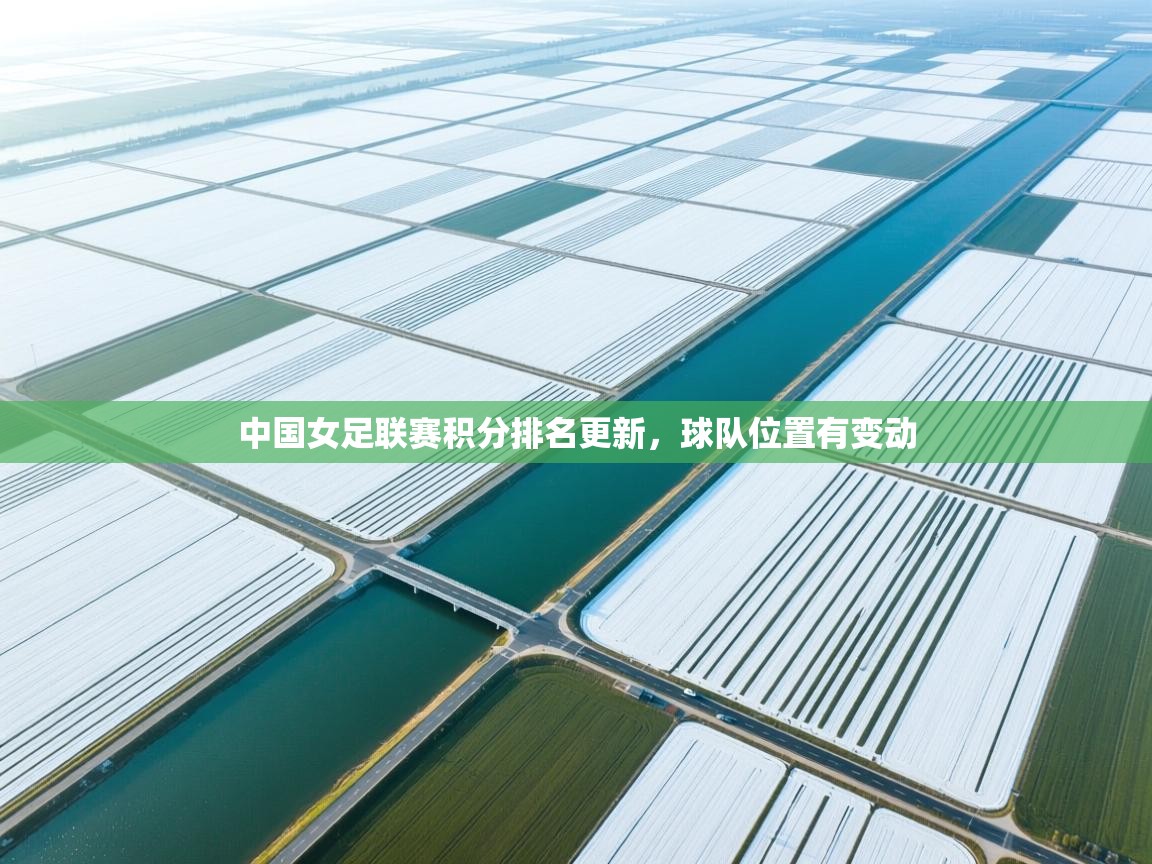 云开体育app官网入口-中国女足联赛积分排名更新，球队位置有变动  第3张
