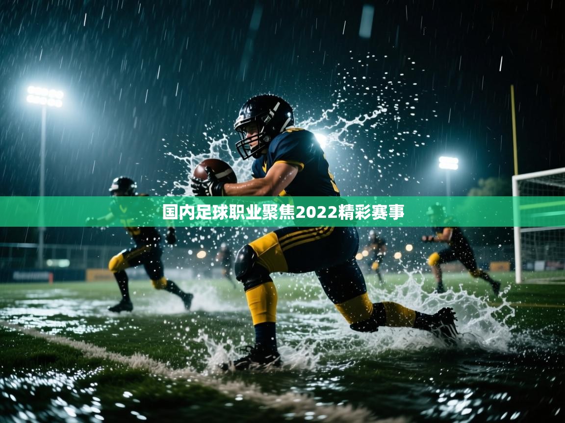 开云体育苹果版下载-国内足球职业聚焦2022精彩赛事 第3张