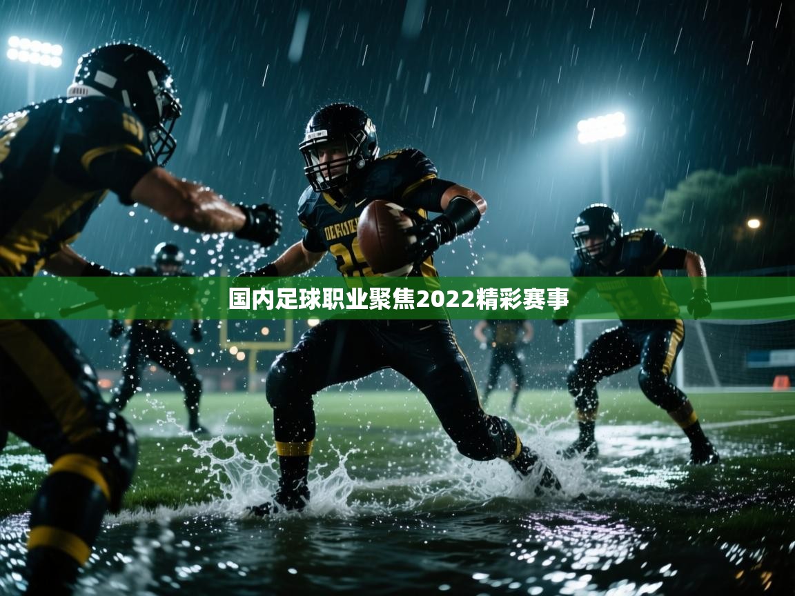 开云体育苹果版下载-国内足球职业聚焦2022精彩赛事 第4张