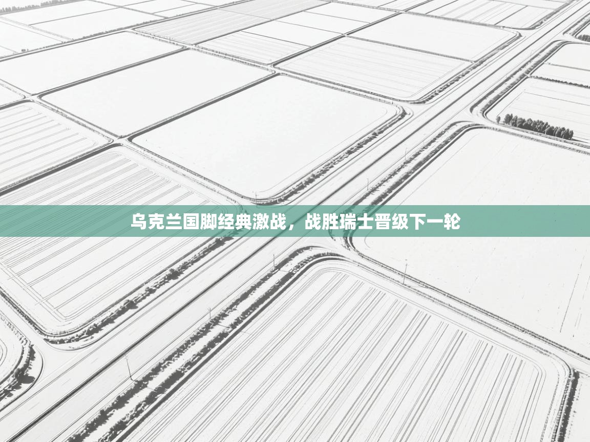 开云体育app官网网页登录入口-乌克兰国脚经典激战，战胜瑞士晋级下一轮