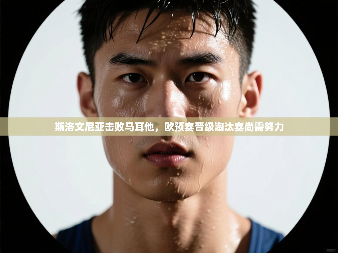 开云数据-斯洛文尼亚击败马耳他，欧预赛晋级淘汰赛尚需努力  第3张