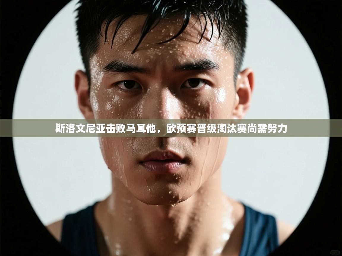 开云数据-斯洛文尼亚击败马耳他，欧预赛晋级淘汰赛尚需努力  第4张