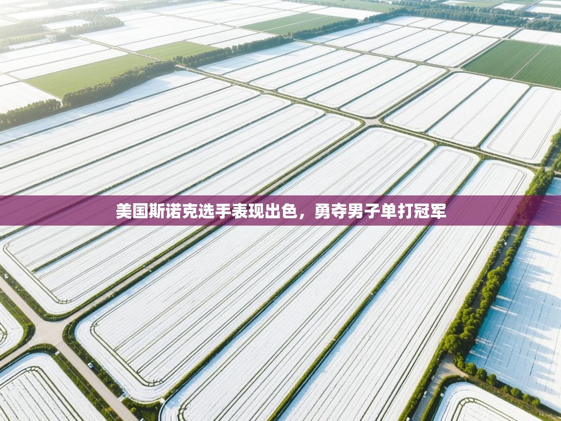 开云体育入口手机版-美国斯诺克选手表现出色,勇夺男子单打冠军 第3张