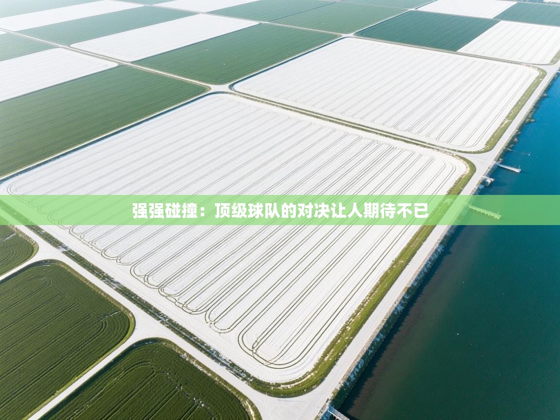 开云体育在线观看-强强碰撞：顶级球队的对决让人期待不已