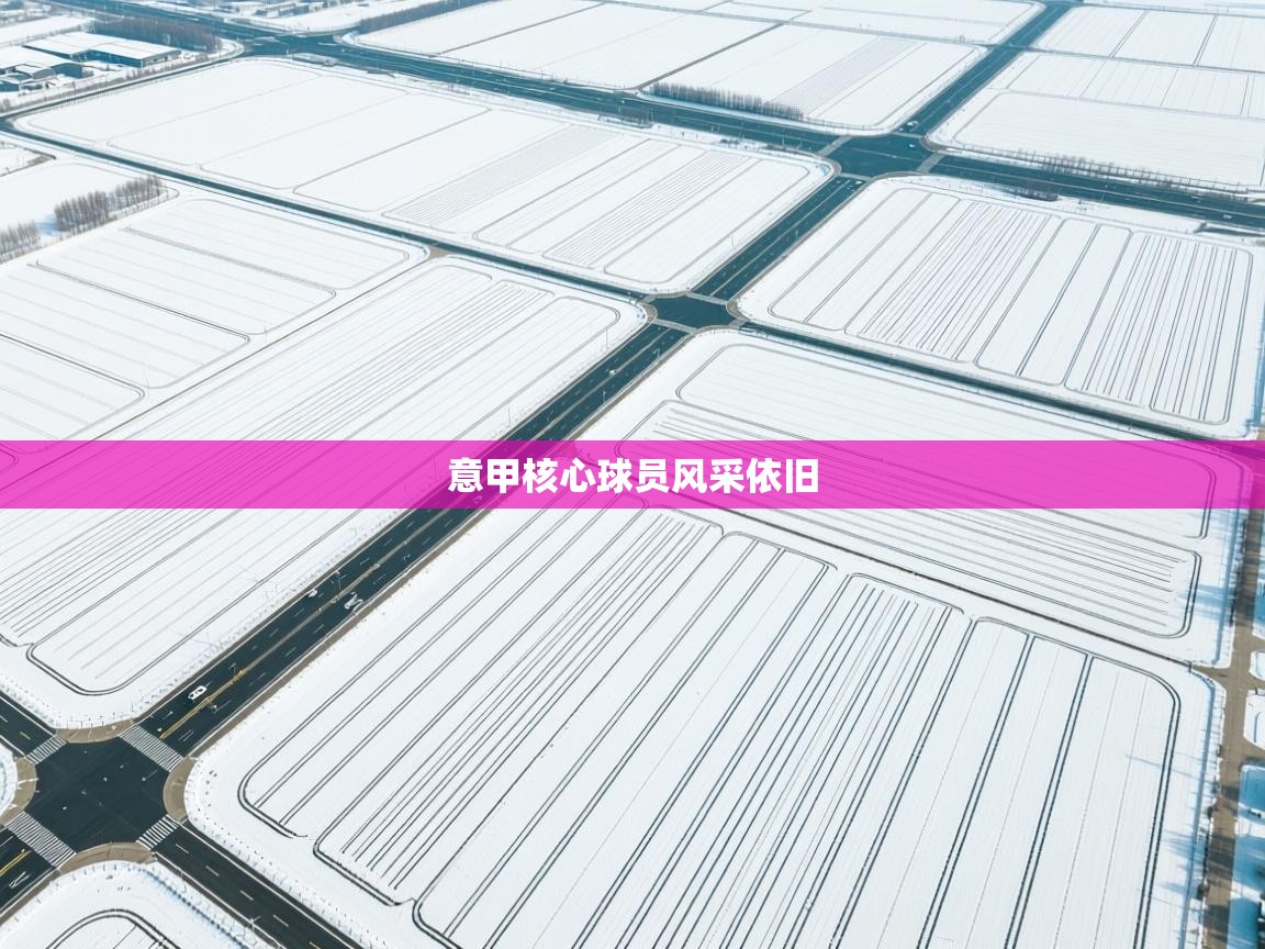 云开体育入口-意甲核心球员风采依旧  第1张