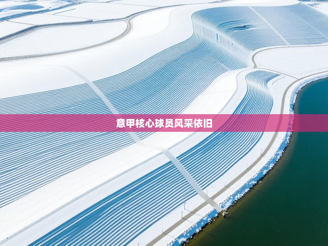 云开体育入口-意甲核心球员风采依旧  第2张