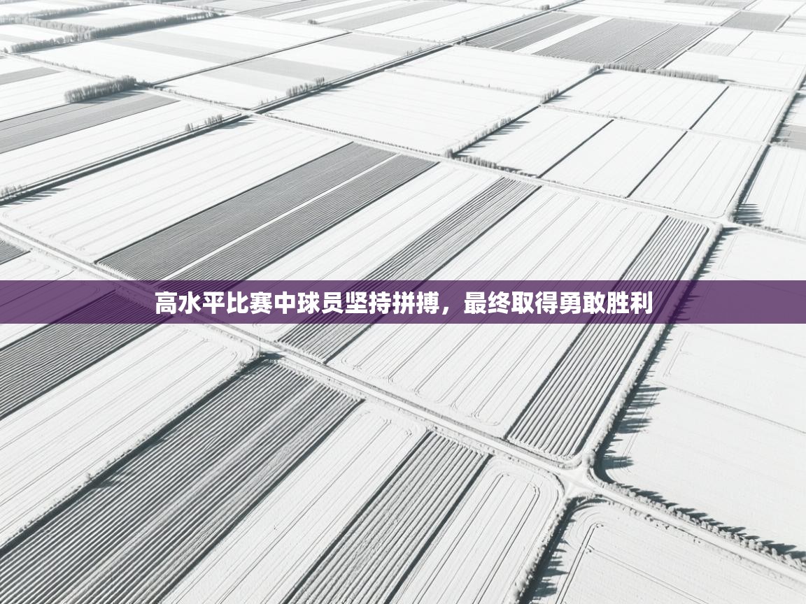 开云体育注册app-高水平比赛中球员坚持拼搏，最终取得勇敢胜利  第1张