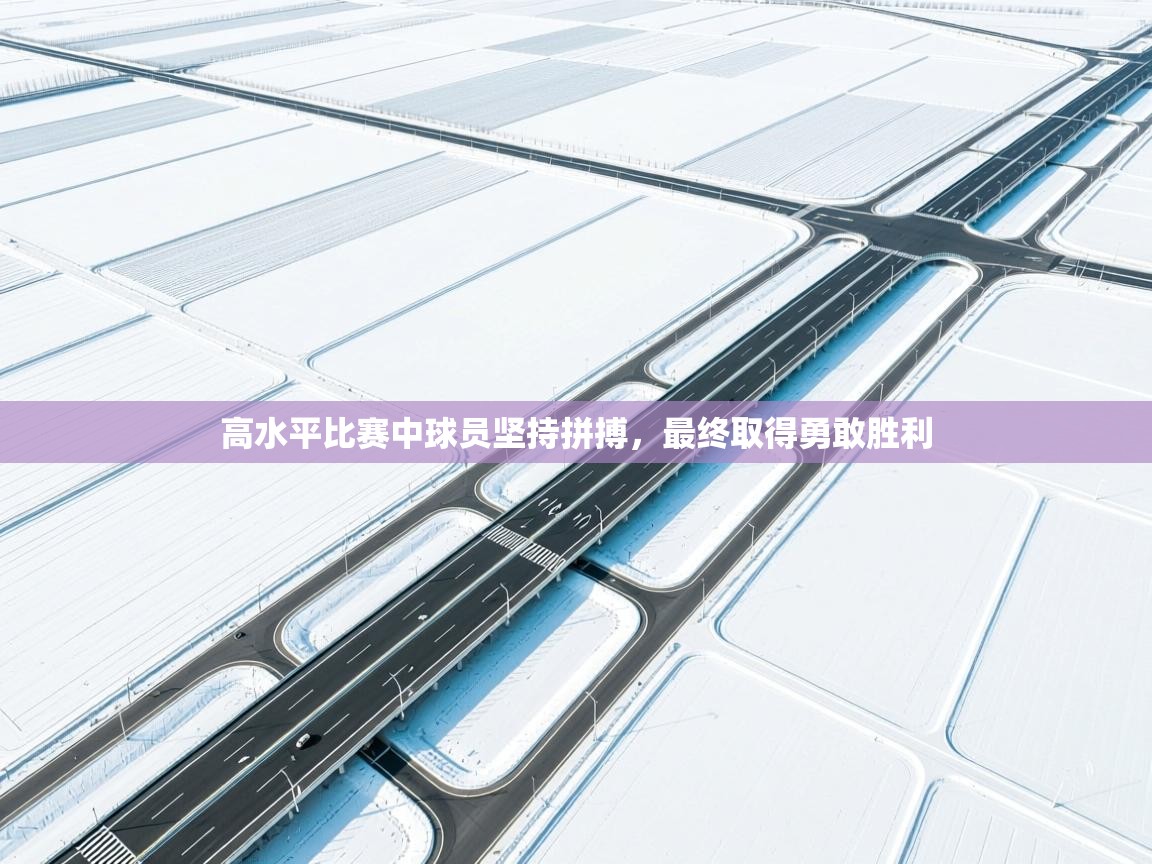 开云体育注册app-高水平比赛中球员坚持拼搏，最终取得勇敢胜利  第4张