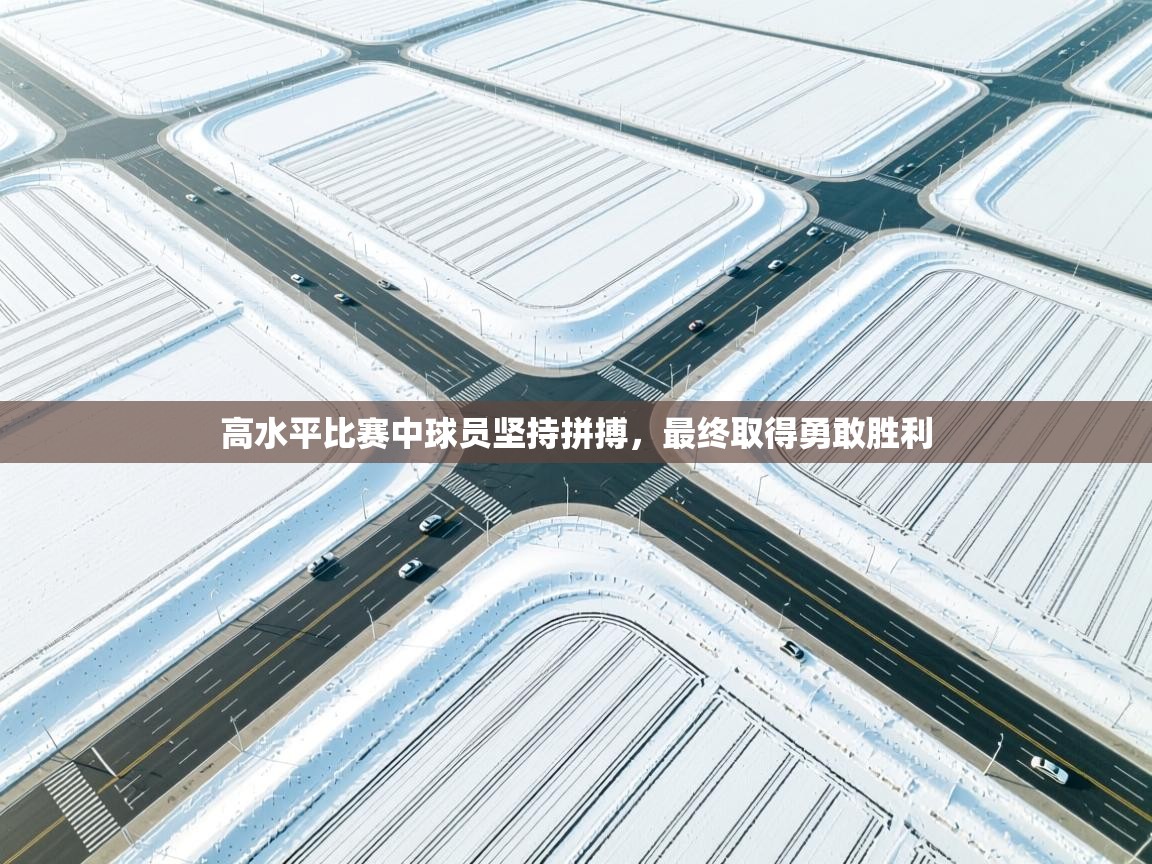 开云体育注册app-高水平比赛中球员坚持拼搏，最终取得勇敢胜利  第3张